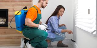 Best Pest Prevention Services  in Chinle, AZ